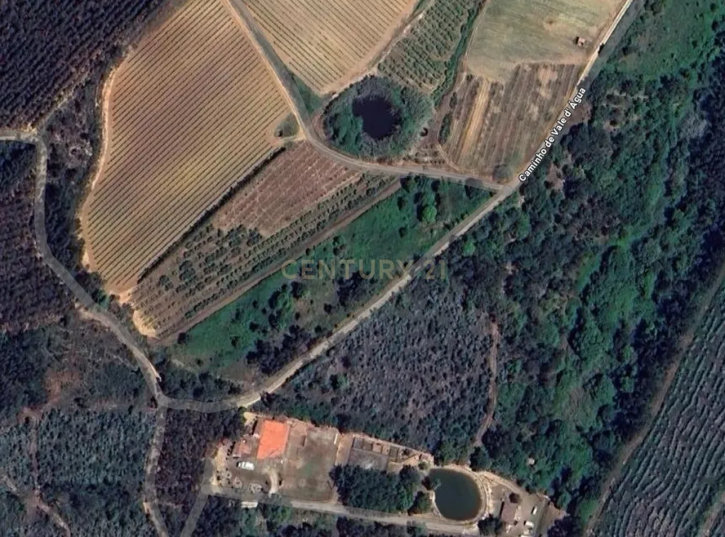 Terreno Agrícola na Zona Oeste - Image 13
